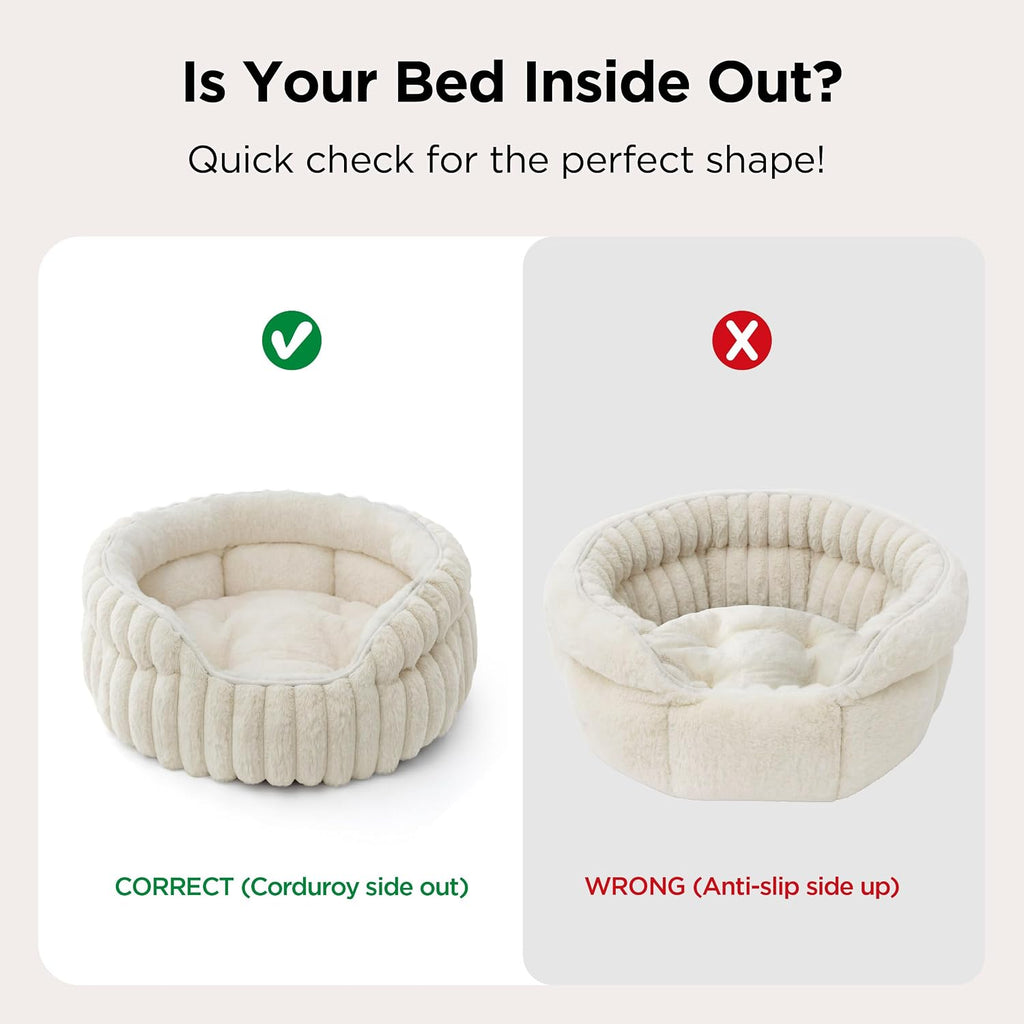 Cat resting comfortably inside cream colored round pet bed