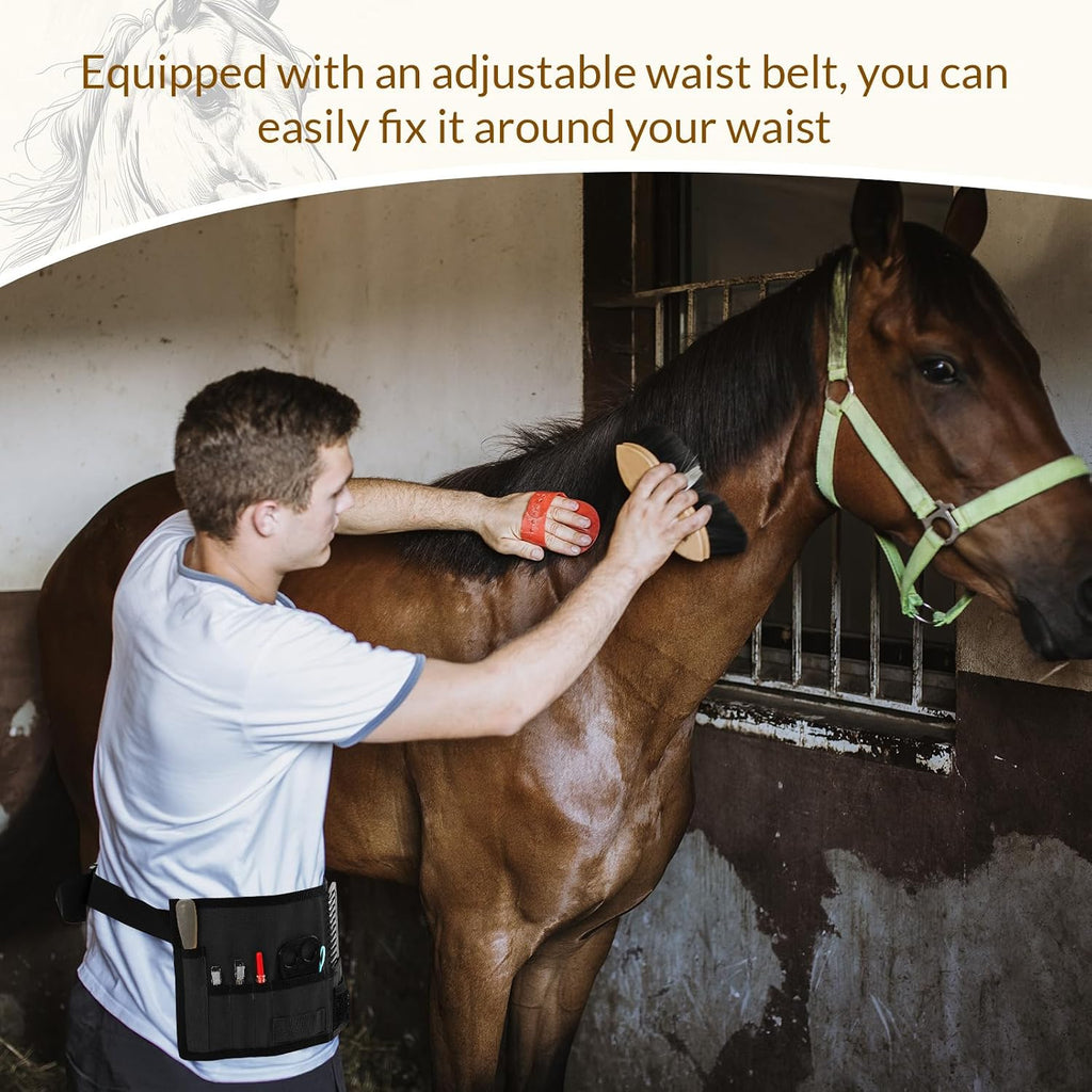 Horse mane braiding kit organized in canvas bag