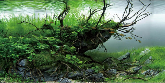 AWERT branches fish tank background front view high definition river bed design