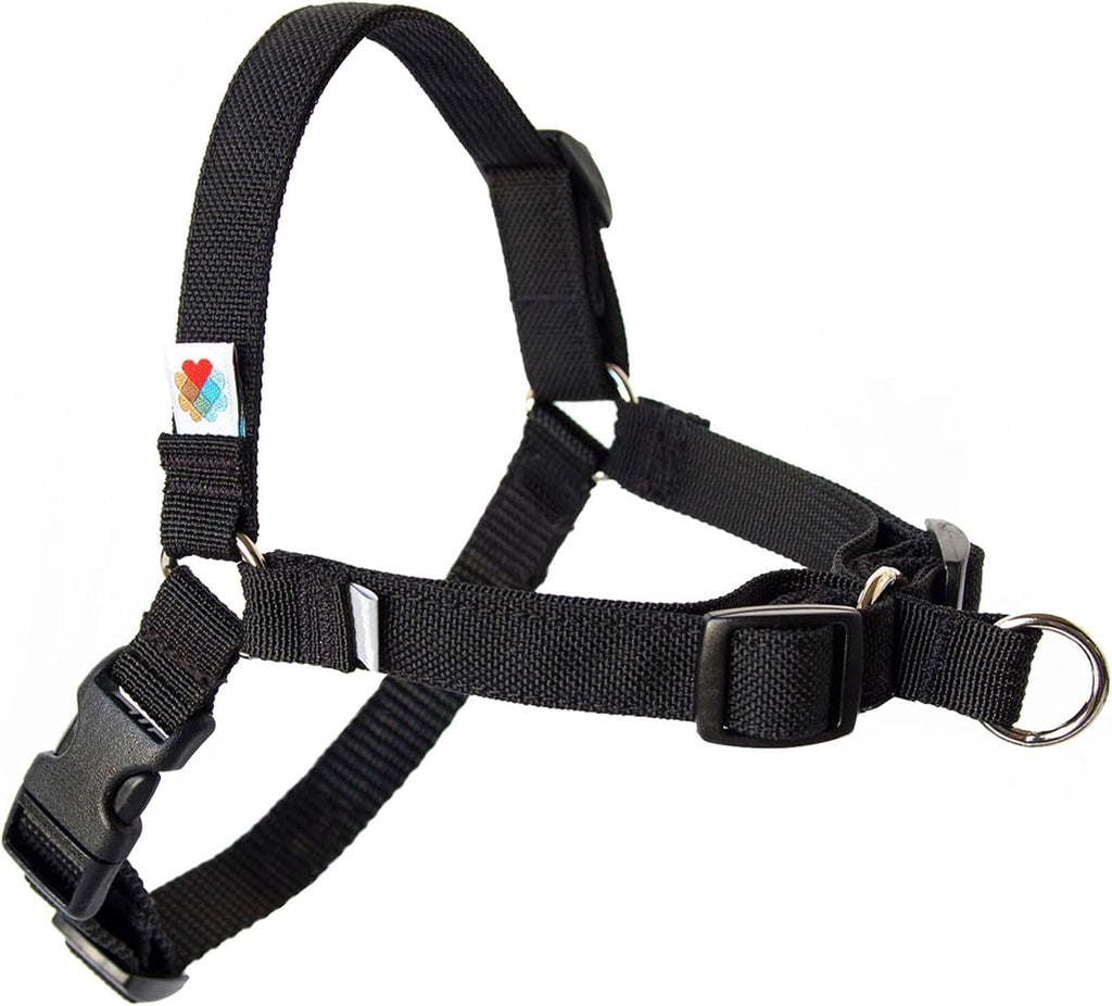 Wildebeest No Pull Dog Harness | Comfortable Training Harnesses | Effective No Pull Harness Design | Ideal for Small Dog and Puppy | 4-Point Adjustable (S -18~24 inch Girth, Turquoise) - Image 9