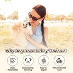 Small dog enjoying a Vitaday Turkey Tendon chew