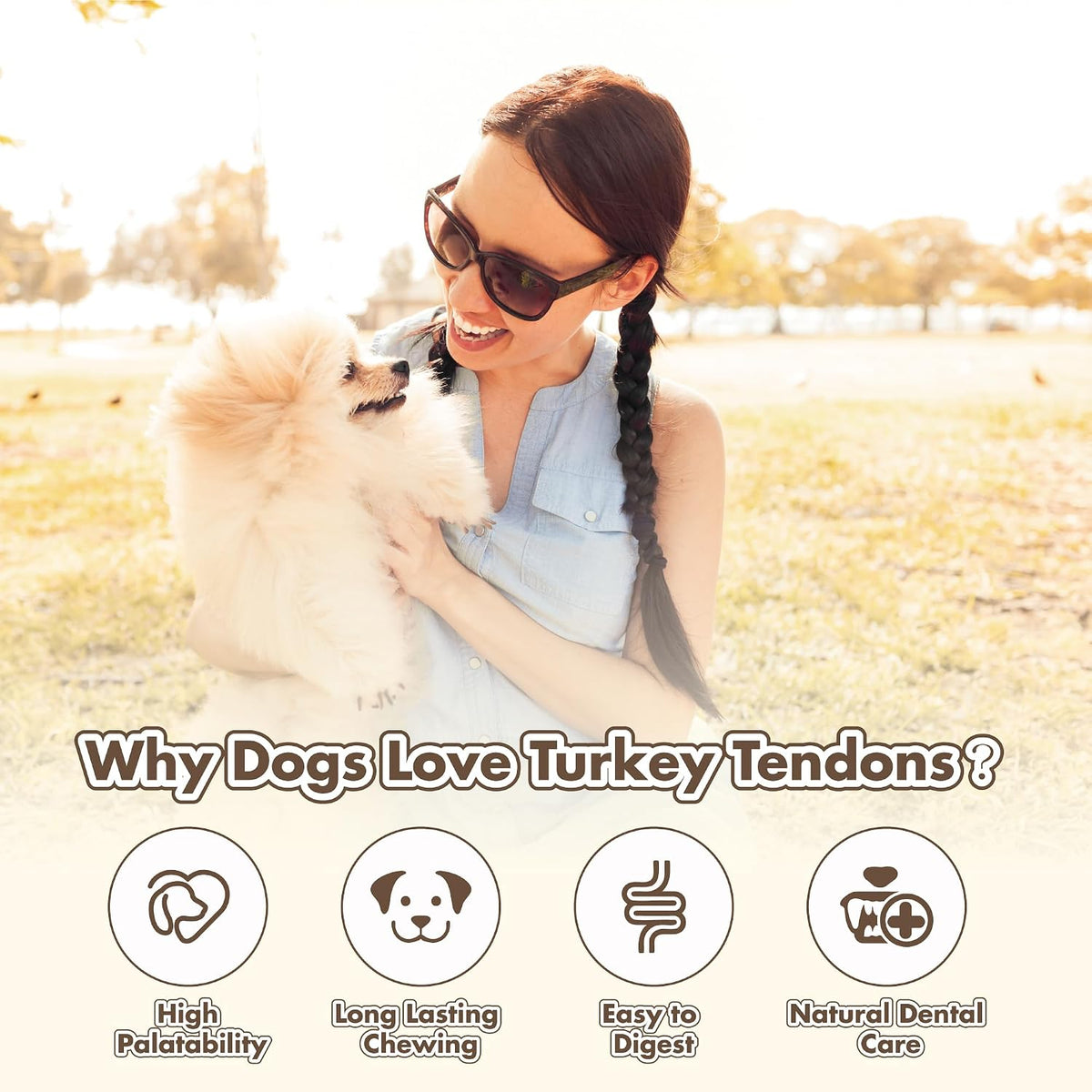 Small dog enjoying a Vitaday Turkey Tendon chew