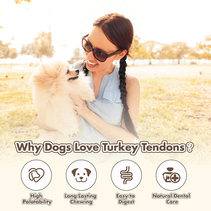 Small dog enjoying a Vitaday Turkey Tendon chew