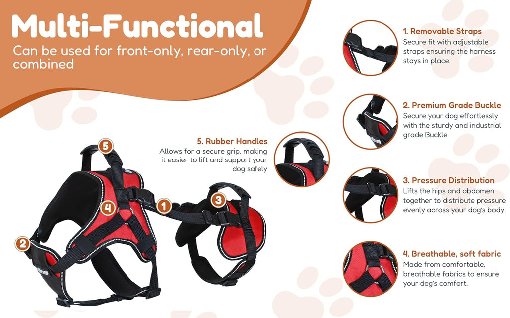 Adjustable rear section of Doggie Stylz lifting harness for dogs