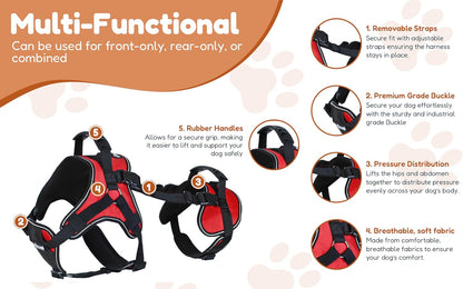Adjustable rear section of Doggie Stylz lifting harness for dogs