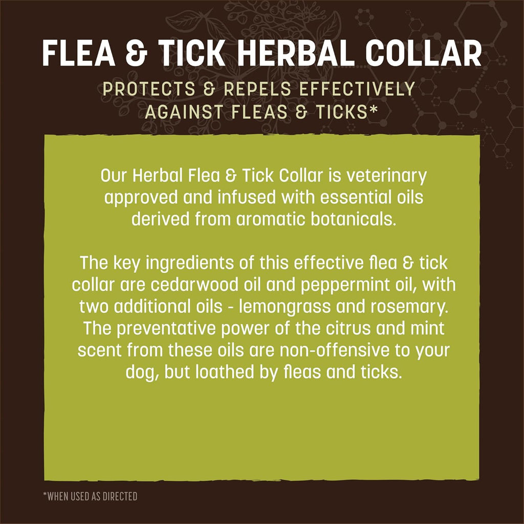 Back of Earth Animal herbal collar box with instructions