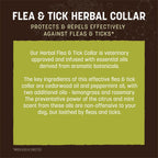 Back of Earth Animal herbal collar box with instructions