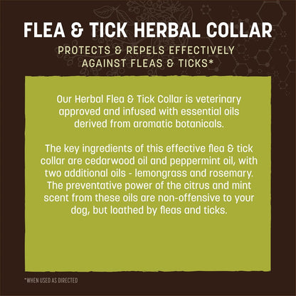 Back of Earth Animal herbal collar box with instructions