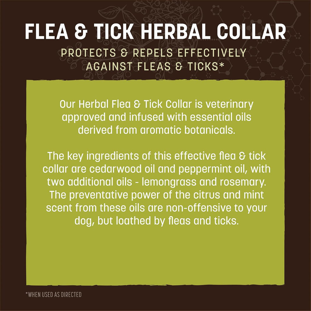 Earth Animal Apothecary flea and tick collar showing adjustable clasp