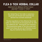 Earth Animal Apothecary flea and tick collar showing adjustable clasp