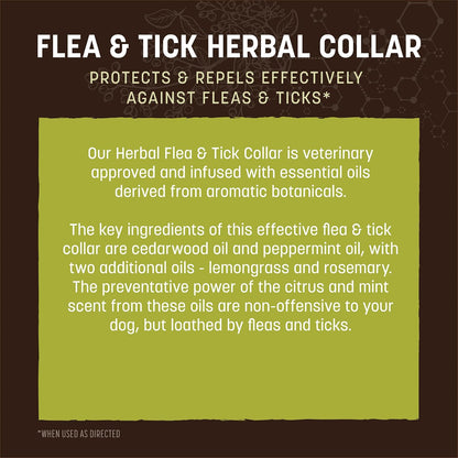 Earth Animal Apothecary flea and tick collar showing adjustable clasp