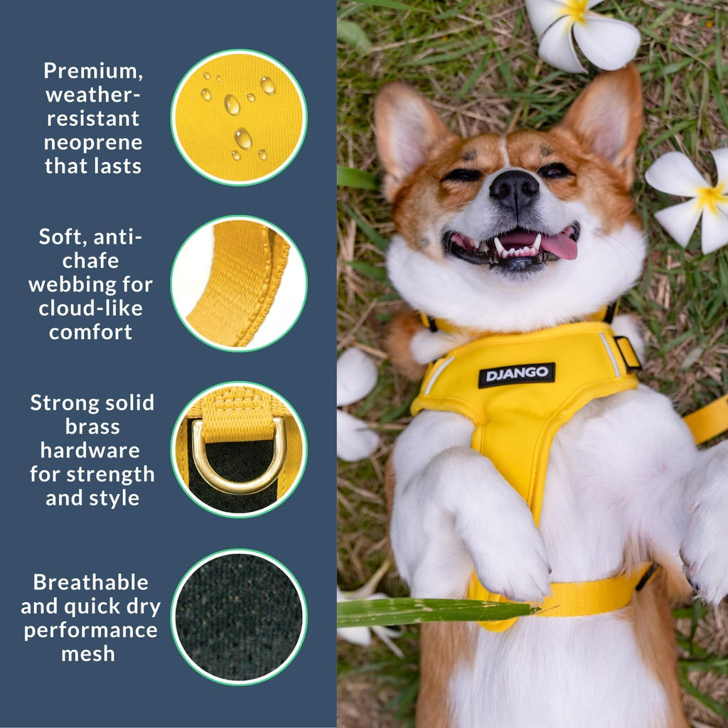 Side view of dandelion yellow Django adventure harness on dog