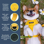 Side view of dandelion yellow Django adventure harness on dog