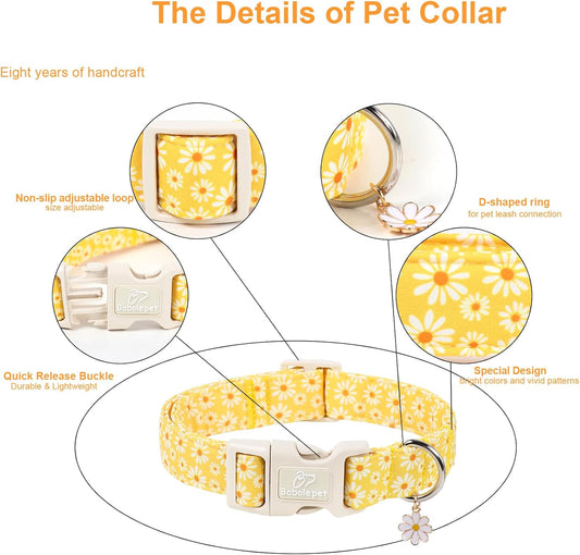 Close up of Babole Pet daisy collar safety buckle