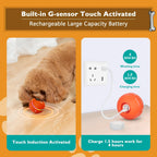 PetDroid rolling ball toy showing LED light feature