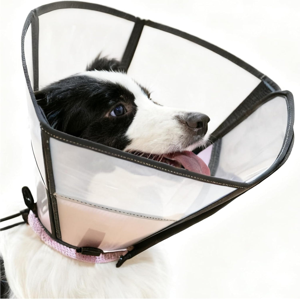 Soft Dog Cone, Stop Licking Deep Pet Recovery Collar After Surgery for Large Medium Dogs, Clear Plastic Breathable Elizabethan Head Neck Circle, Adjustable Comfortable Cones 25cm /10" Long (L Black) - Image 12