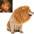 Funny Dog Cat Cosplay Wig,Pet Wigs for Halloween, Christmas, Parties, Festivals, Dog Wigs for Small Medium and Large Dogs Black Brown Straight - Image 12