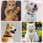 Various colors of Petknows pet bells and metal accessories
