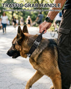 Joytale heavy duty dog collar metal buckle detail