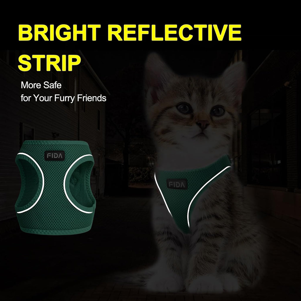 Fida triple security lock cat harness showing buckle and D rings
