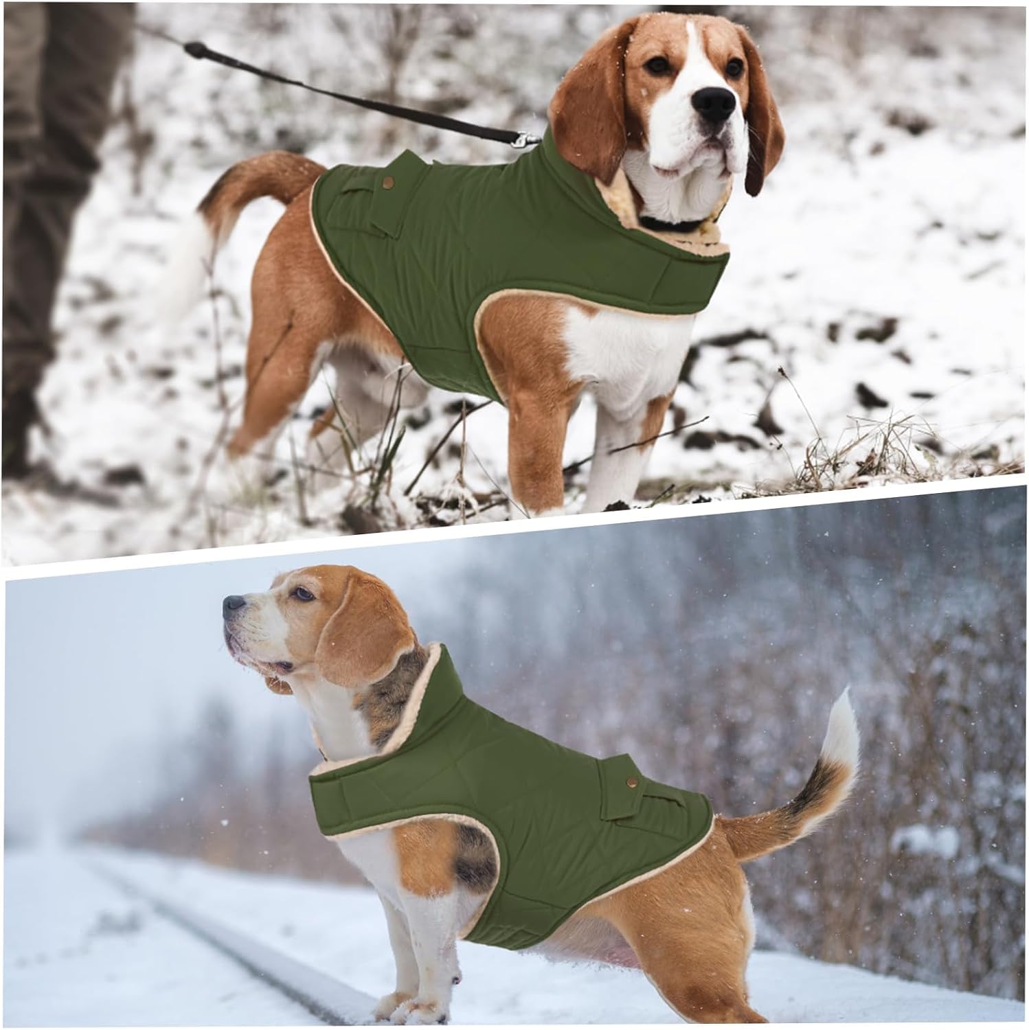 High-belly closure detail on Asenku small dog winter jacket