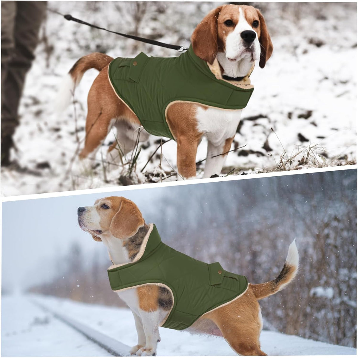 High-belly closure detail on Asenku small dog winter jacket