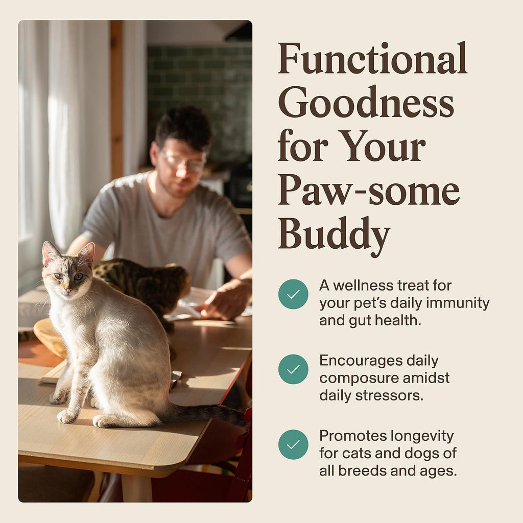 Supplement facts label showing organic mushroom ingredients for pet vitality