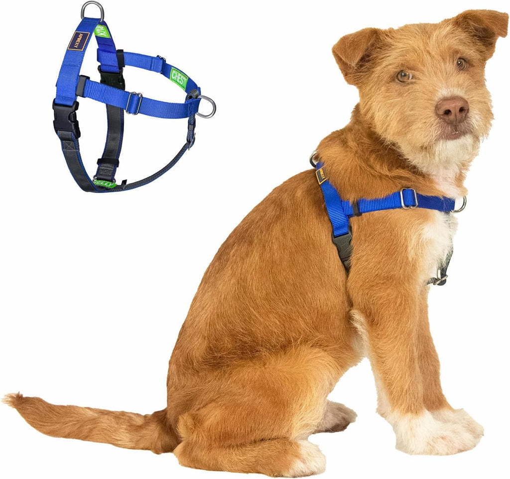 Apdexy Freedom harness packaging and product display