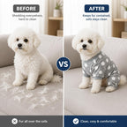 Small dog wearing Axxlern recovery suit for anxiety relief