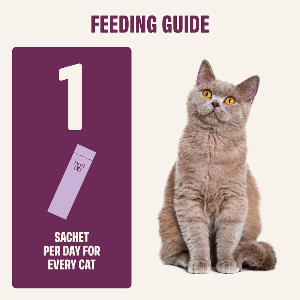 Calming supplement for cats to reduce anxiety during fireworks and travel