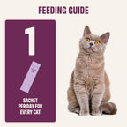 Calming supplement for cats to reduce anxiety during fireworks and travel