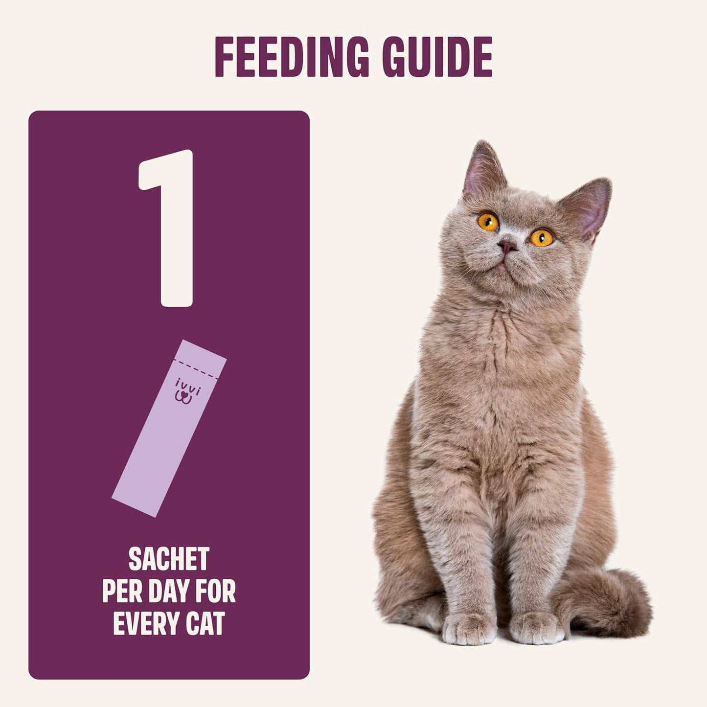 Calming supplement for cats to reduce anxiety during fireworks and travel