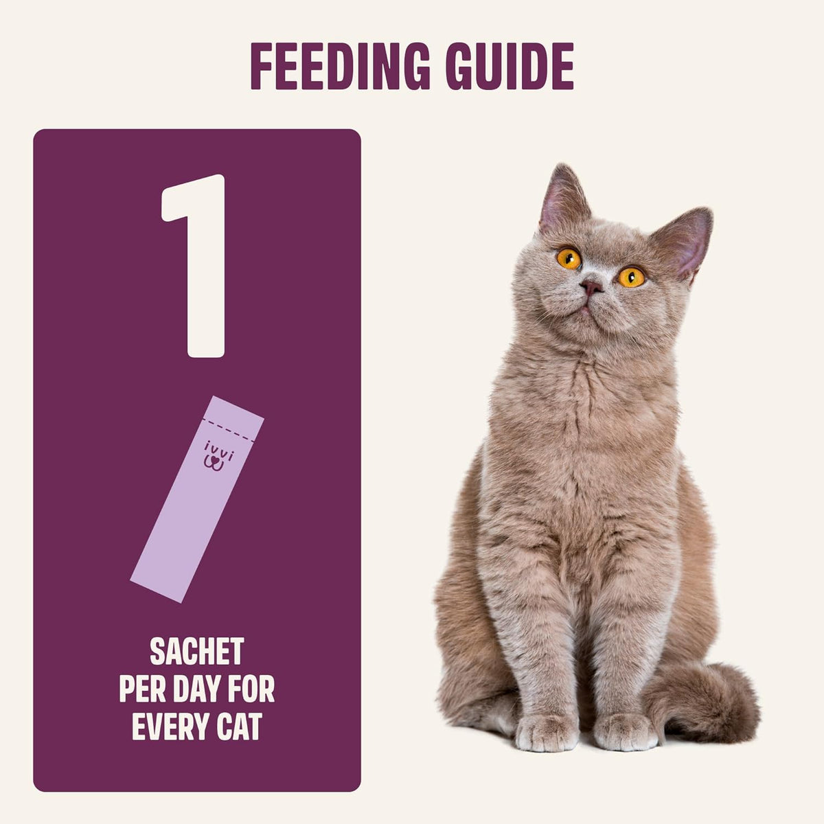 Calming supplement for cats to reduce anxiety during fireworks and travel