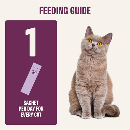 Calming supplement for cats to reduce anxiety during fireworks and travel