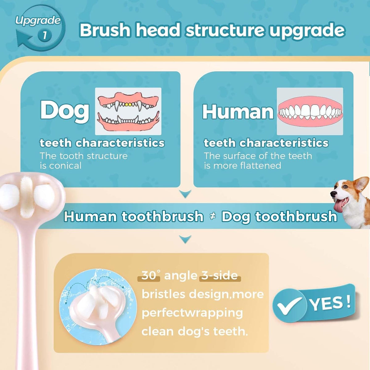 Close up of 3-sided bristle technology on Gluckelk dog toothbrush