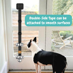 Bluetree dog potty training bell hanging on a door handle