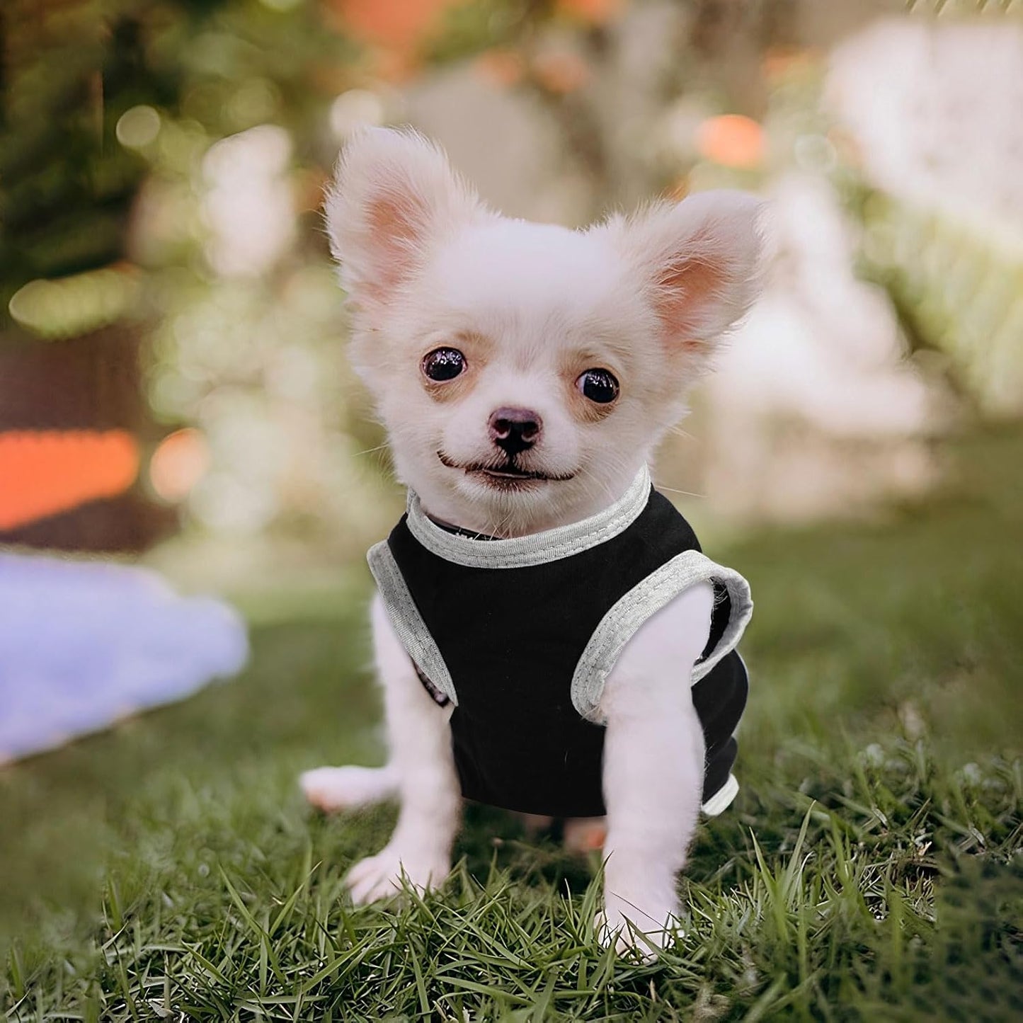 Folded pet shirts showing pattern detail for small dogs