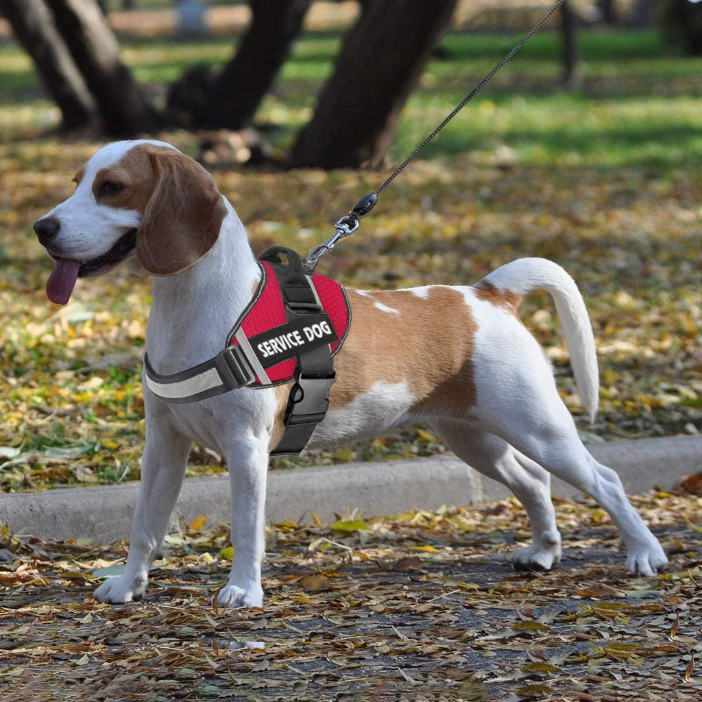Adjustable buckle mechanism on JSXD dog vest for custom fit