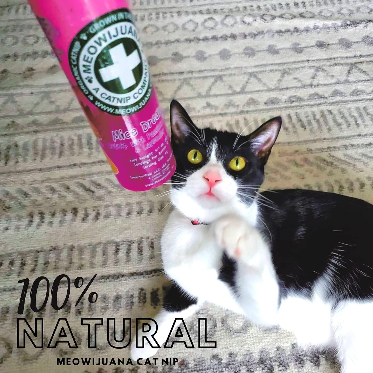 Premium USA grown natural catnip blend for indoor felines