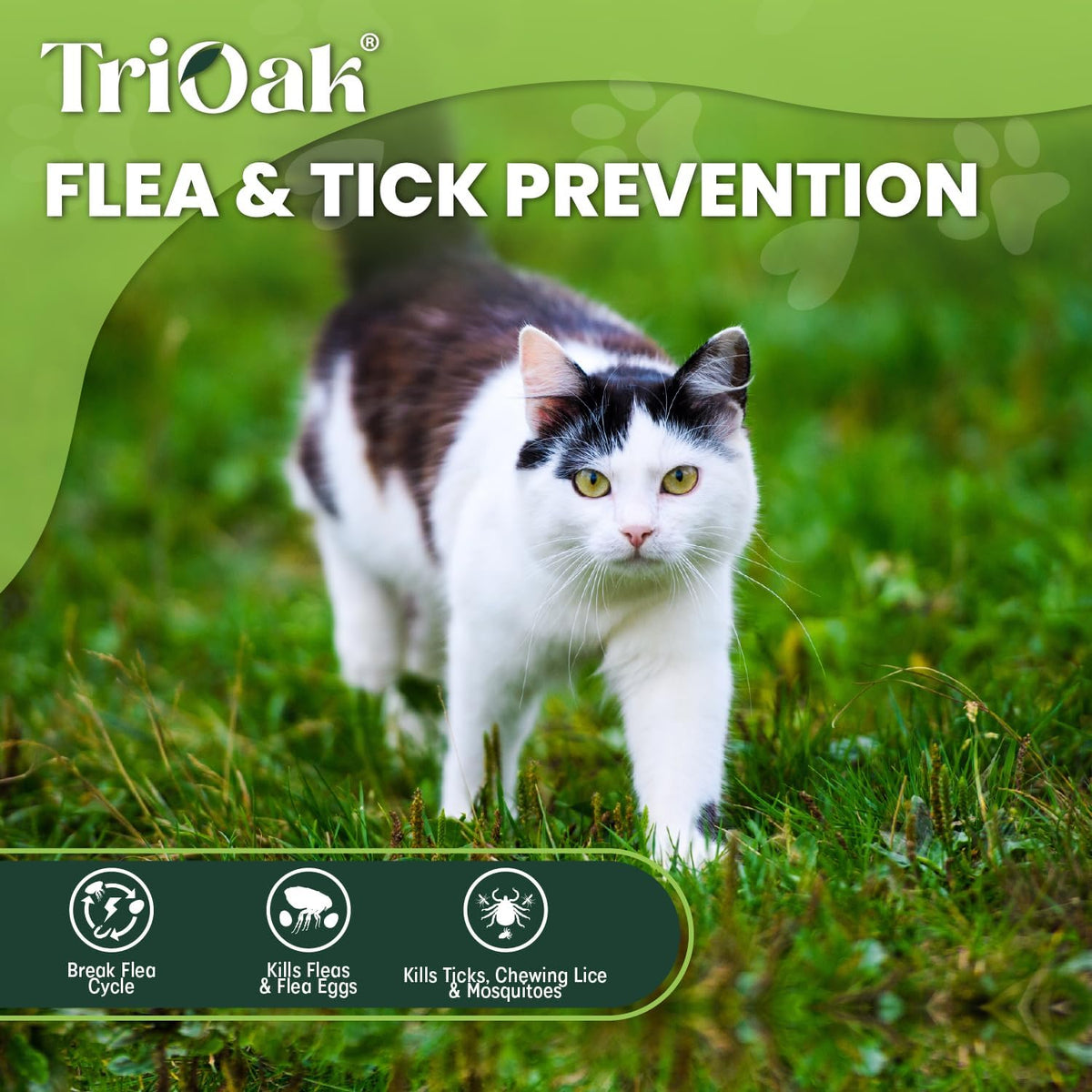 Six individual doses of TriOak flea and tick prevention for cats