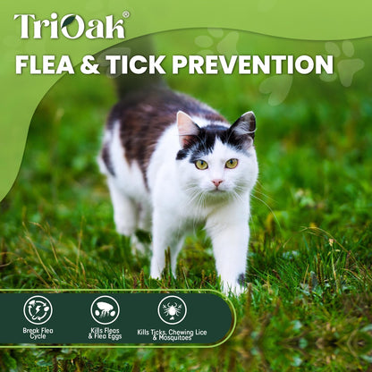 Six individual doses of TriOak flea and tick prevention for cats