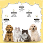 Lovelyshop premium silver plated royal family crown for small dogs and cats