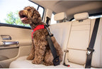 Sleepypod dog car safety harness side profile showing fit
