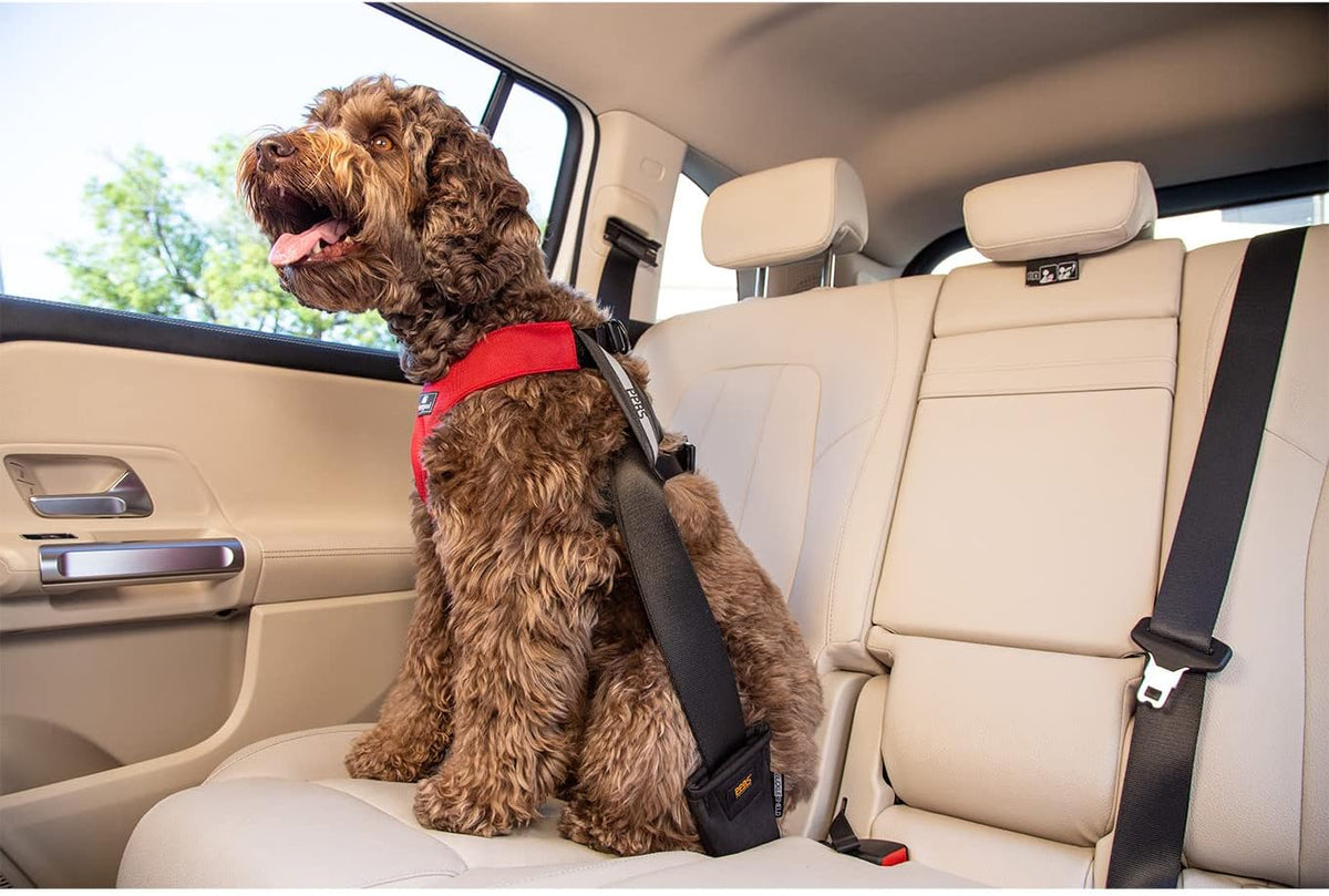 Sleepypod dog car safety harness side profile showing fit