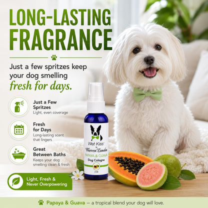 Long lasting dog perfume spray for stinky dogs odor elimination.