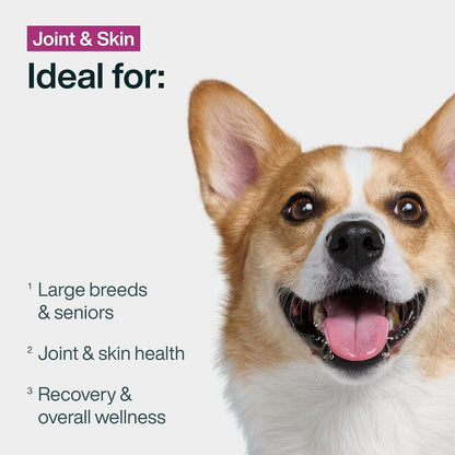 JustFoodForDogs pork and quinoa dog food recipe label detail