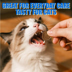 Cat enjoying Coenzyme Q10 and Taurine heart health chews