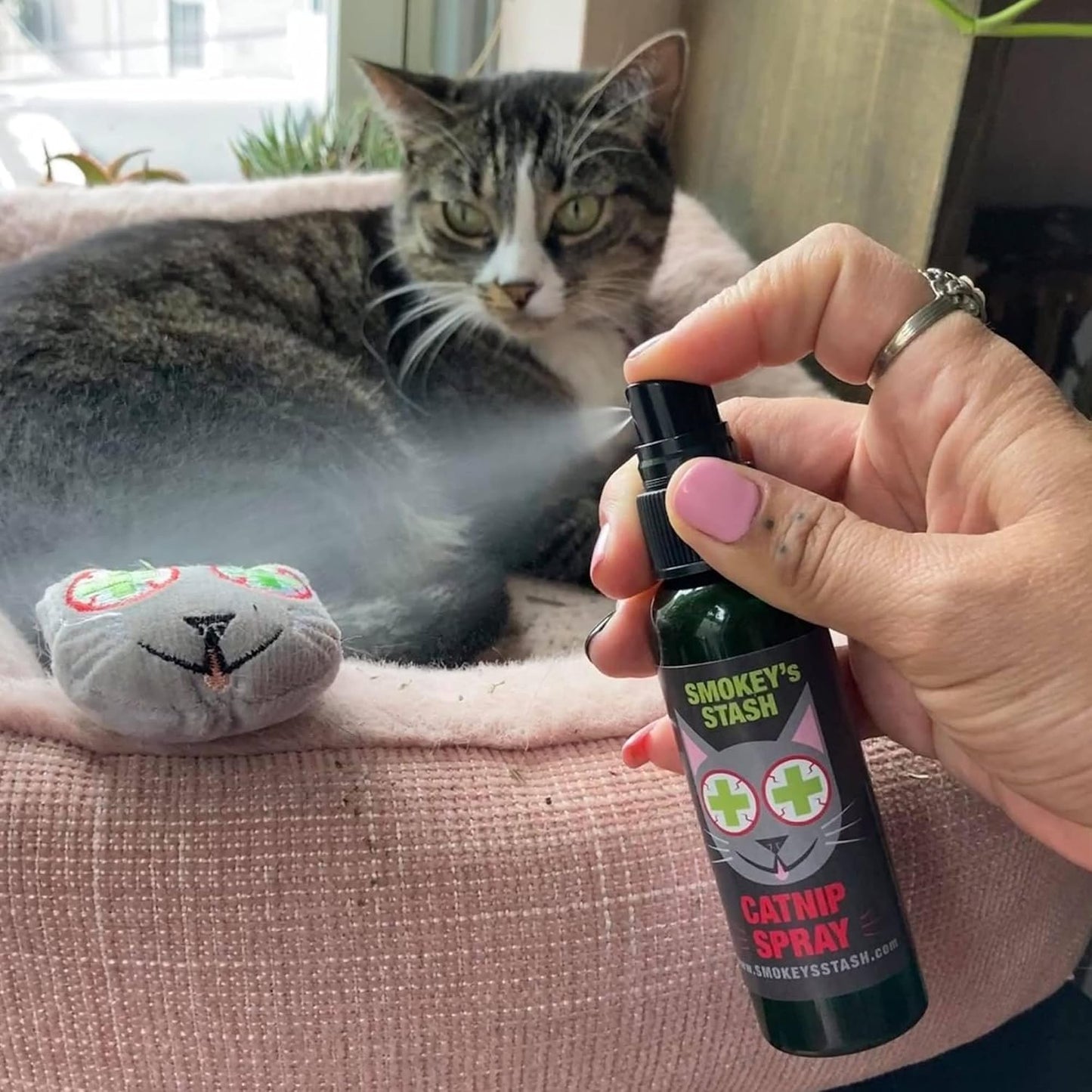 Authentic USA imported cat training spray bottle showing ingredients and instructions