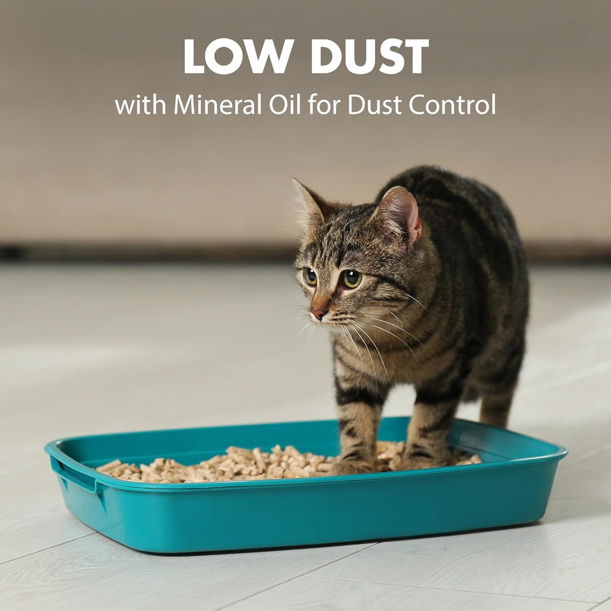 Low dust pouring demonstration of plant-based cat litter