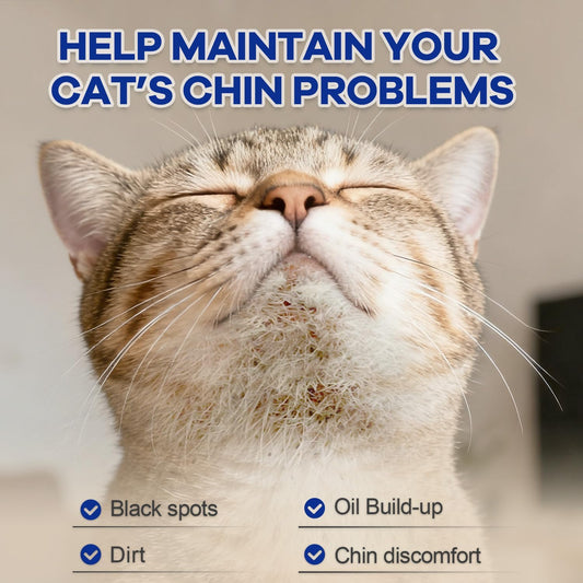 Dual-finger design wipe being placed on fingers for precise pet facial grooming.